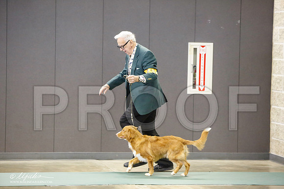 _LH_3094-BeltonJan2015-HR3