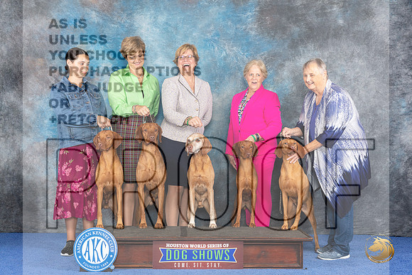 CUSTOM Vizsla Family WED__JP_7562_Houston_2024_HR3