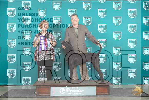 Plott Hound #698 Fri BOB Judge Corianna Glenn__JP_1704_Premier_2024_HR3