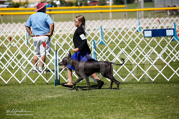 _JJ_8137-AlamogordoOct2014-HR3