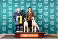 English Pointer #161 #162 G3 AG1 Judge Larry Hansen