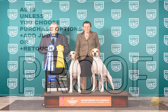 English Pointer #161 #162 G3 AG1 Judge Larry Hansen__JP_2362_UKCEastern_2024_HR3