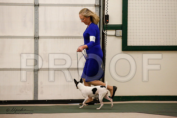 _JN_8816-NrmnNov2014-HR3