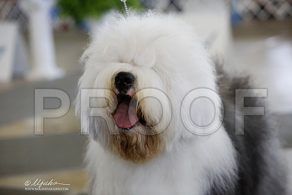 _JJ_3004-DallasJul2014-HR3