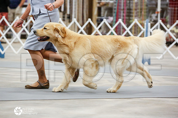 _JN_1250-AblnMay2014-web