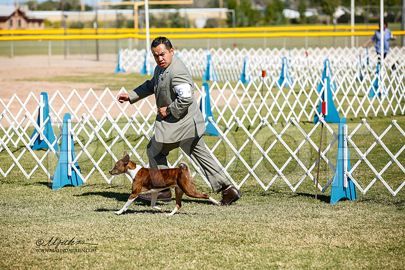 _JJ_2814-AlamogordoOct2014-HR3