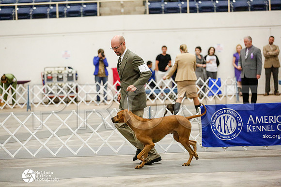 _RH_1497-AblnMay2014-web