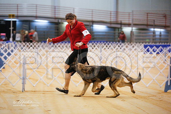 GSD-9323-GRJan14-HR