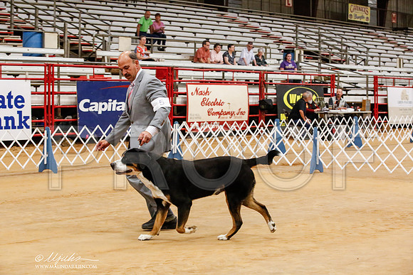 _HR_7074-TxArJun2014-HR3