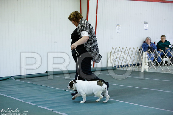 _JJ_2113-DentonMar2015-HR3