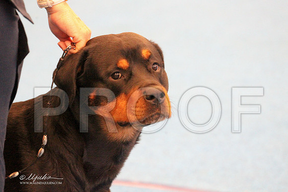 Rott-9593LR
