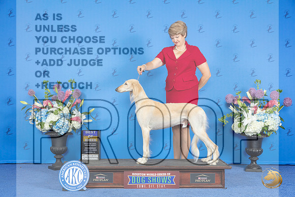 Saluki #9 WED BOB Judge Barbara Scherer r__JP_0049_Houston_2024_HR3