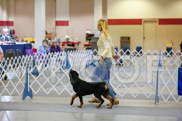 _JJ_1639-AmarilloSept2014-HR3