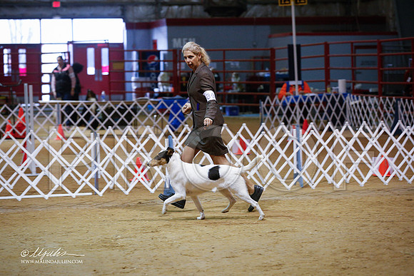 CollieS-3841-GRJan14-HR