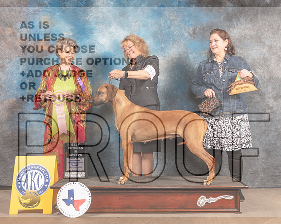 Rhodesian Ridgeback #52 Fri BVetSweeps Judge Cynthia McFadden-MMJ_6860-FW2022-HR3