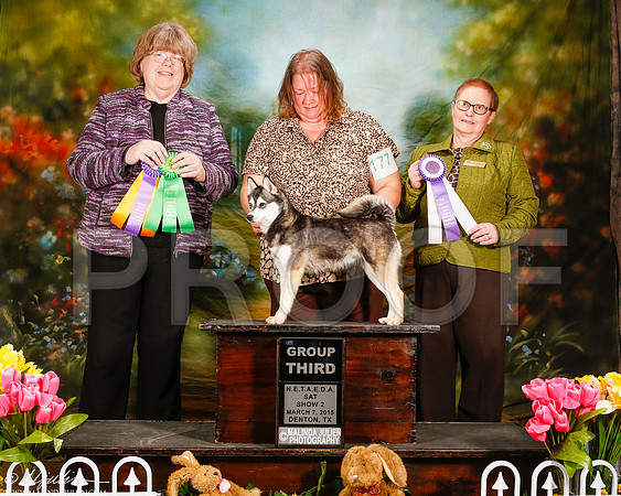 _ST_3769-2-DentonMar2015-HR3