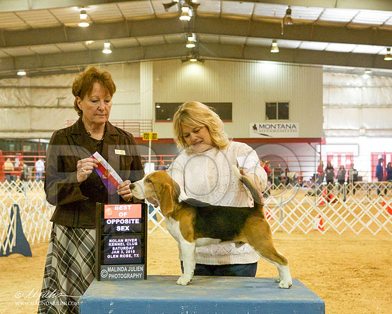 _MJ_5235-GlenRoseJan2015-HR3