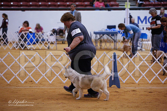 husky-3286-GRJan14-HR