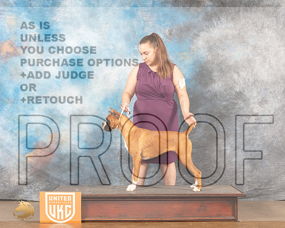 Boxer #194 Fri NCh Judge Sonia YearwoodMMJ_5490_Lngvw2022HR3