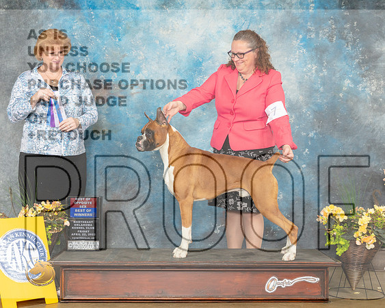 Boxer #7 BOW Judge Betty Pollock-MMJ_9483-NWARK2022-HR3