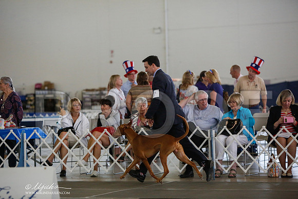 _JJ_2652-DallasJul2014-HR3