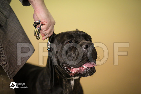 Cane-7422-HtoJan14-HR