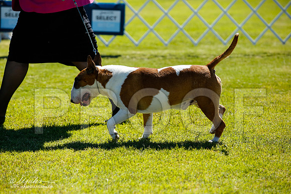 _JN_4847-AlamogordoOct2014-HR3