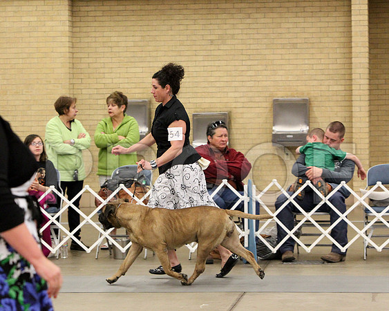 6-8VetSweeps-7368