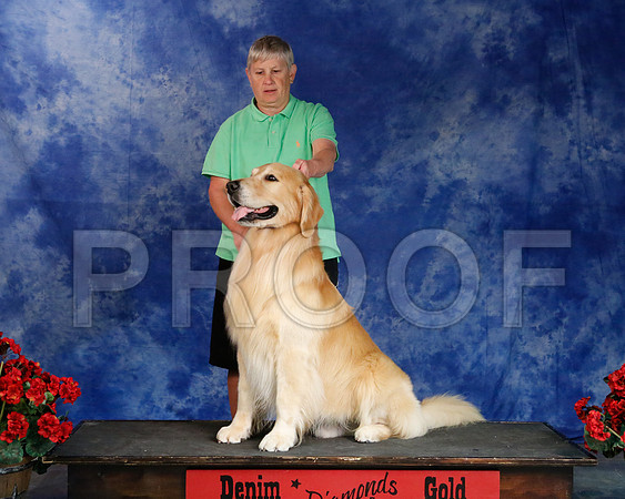 Sylvia-4721-WFOct2013-HR