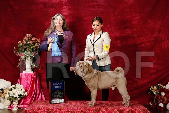 _ST_2641-2-BeltonJan2015IABCA-HR3