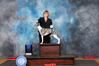 Whippet #6 Sun WBBOW Judge Richard Nance