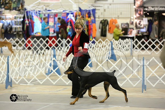 dobe-4889-MidFeb14-HR