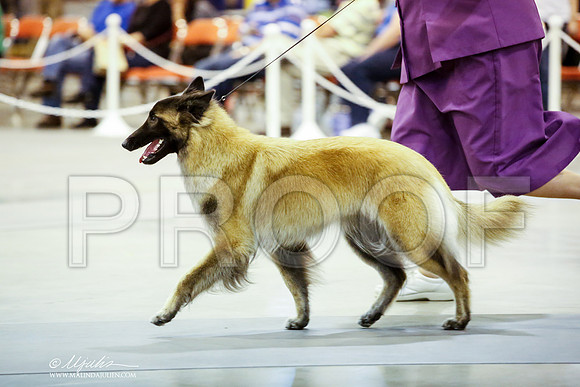 _JN_9486-HstnJul2014-HR3