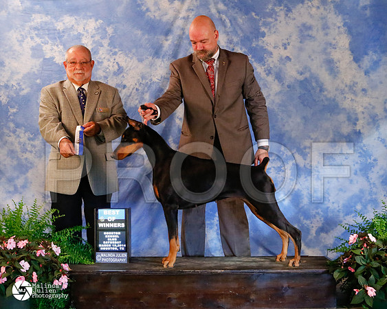 dobe-5099-HstnMar2014-HR3