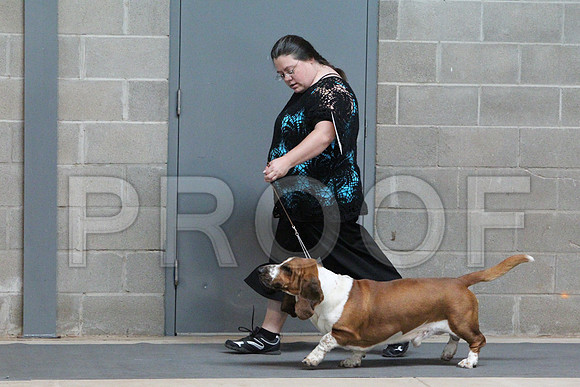 BassetCCL_3202LR