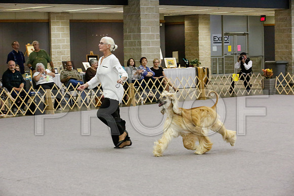 _JJ_8174-AfgBeltonOct2014-HR3