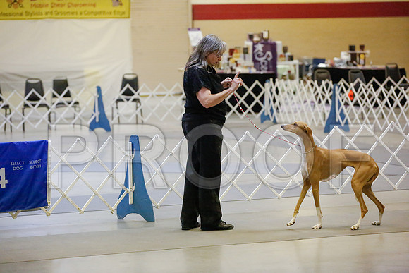 _JN_9060-AmarilloSept2014-HR3