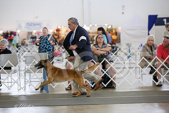 _JJ_3034-DallasJul2014-HR3