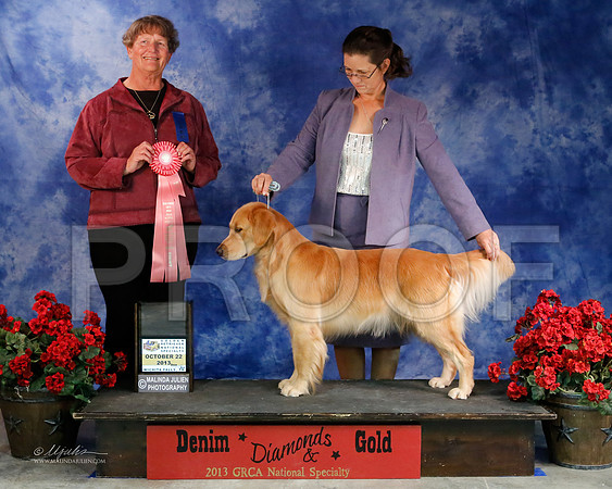 GunDog-8979-WFOct2013-HR