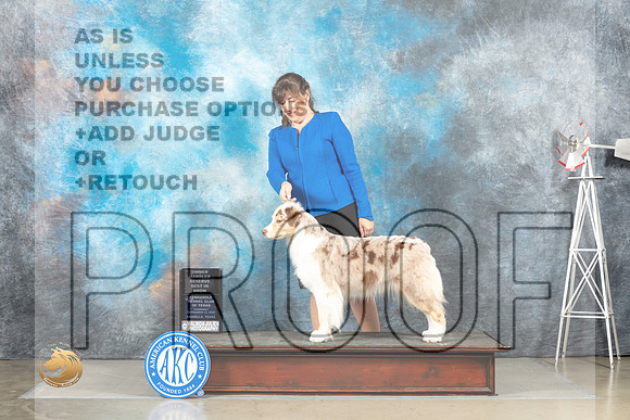 Australian Shepherd #12 Thurs OHRBIS Judge Debra Thornton r_MJ_5160_Amarillo_2022_HR3