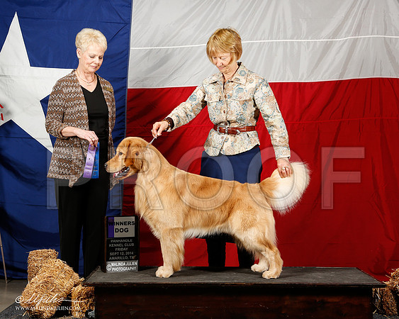 _ST_1488-2-AmarilloSep2014-HR3