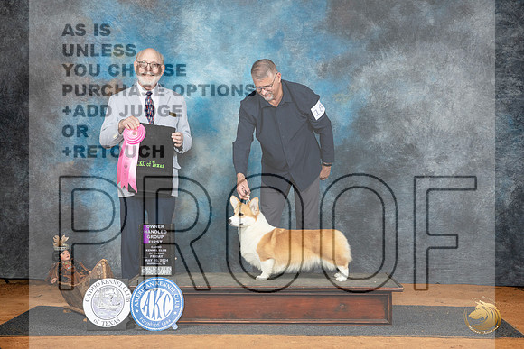 Pembroke Welsh Corgi #18 Fri OHG1 Judge Tim Robbins__JP_7721_MARSHALL_2024_HR3