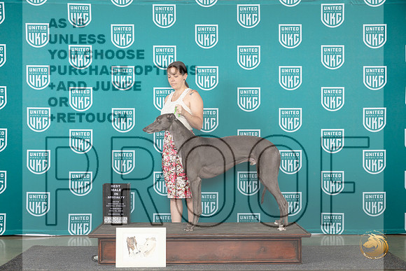 Greyhound #105 Wed BM Judge Jennifer Landers__JP_0302_Premier_2024_HR3