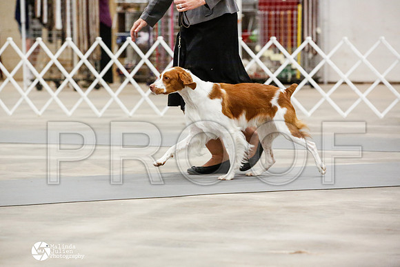 _JN_0151-AblnMay2014-web