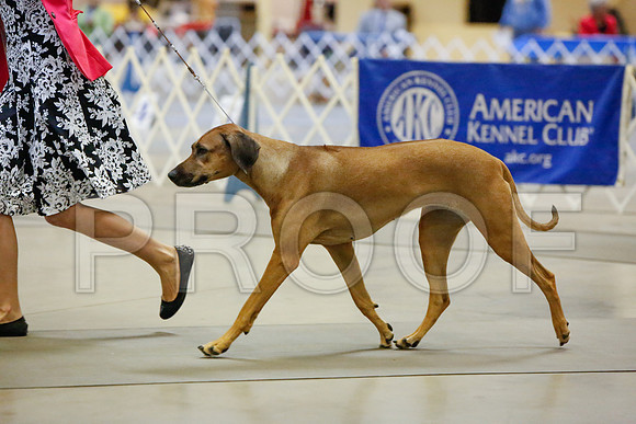 _JJ_3800-AmarilloSept2014-HR3