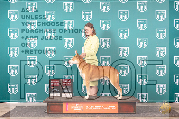 Carolina Dog #146 Fri Sat note__JP_2432_UKCEastern_2024_HR3