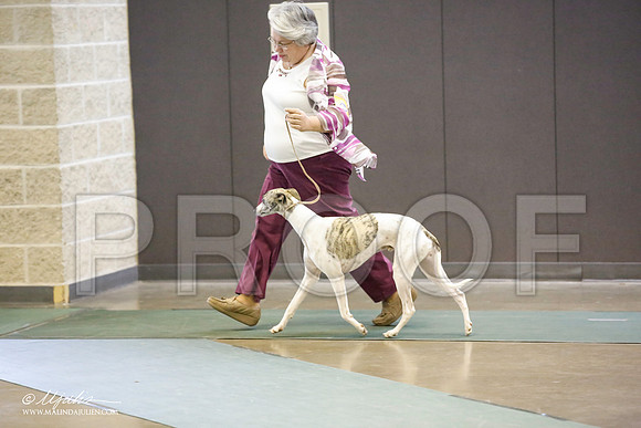 _JN_5262-BeltonJan2015-HR3