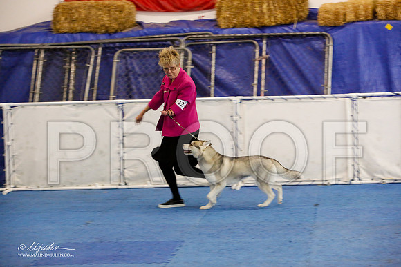 _M3_0618-AddisonHuskyMar2015-HR3