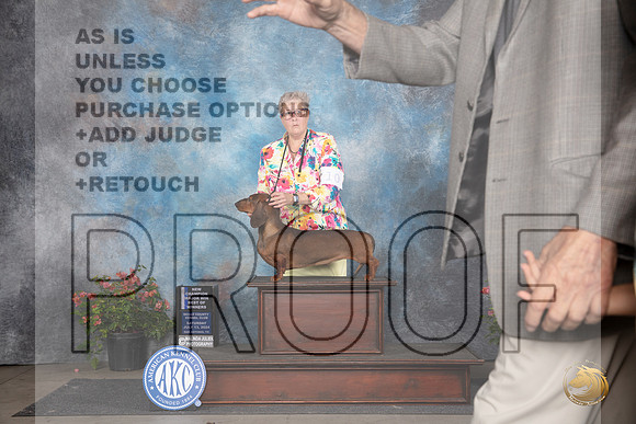 Dachshund Smooth #11 Sat WDBOWMCH Judge Christie Martinez __JP_5128_San Antonio_2024_HR3
