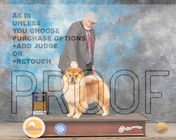 Chow Chow #16 Sat WB Judge Jim FehringMMJ_4328_Mdlnd2022_HR3